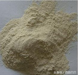 糖化酶等酶制剂能否取代酒曲？探讨酶制剂在酿酒中的应用与局限